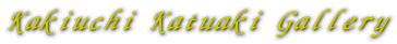 Kakiuchi Katuaki Gallery