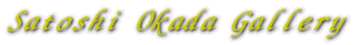 Satoshi Okada Gallery